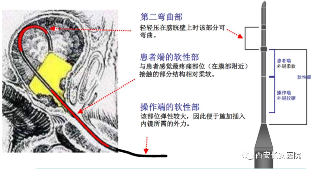 微信图片_20210318172636.jpg 微信图片_20210318172636.jpg
